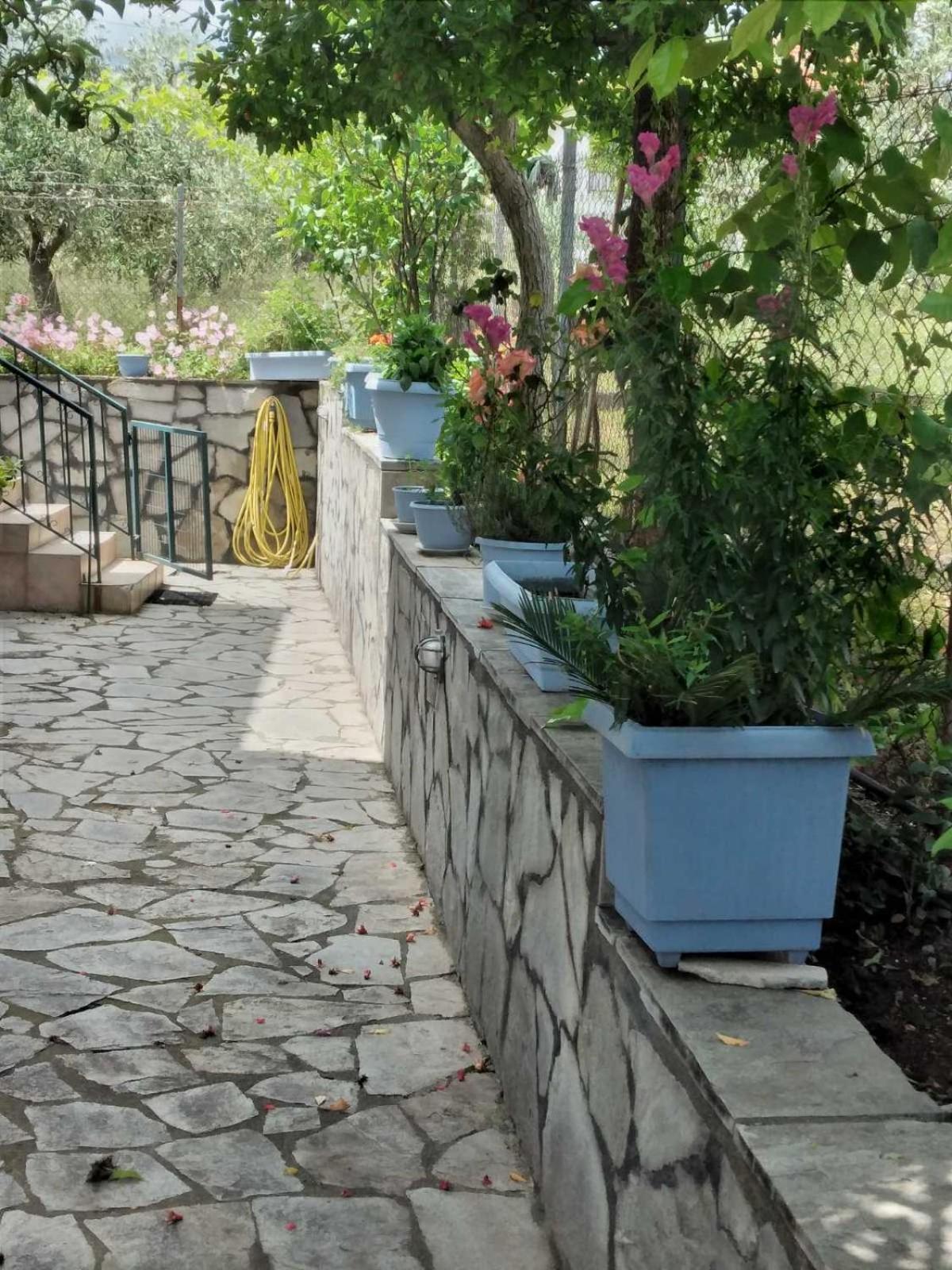 Villa Jenny Leptokariá Kültér fotó